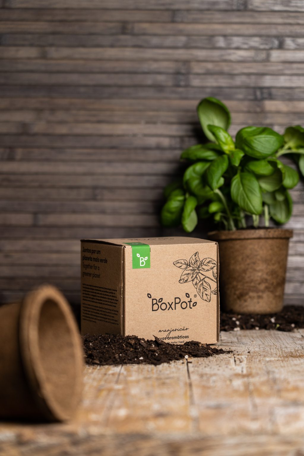 ervas aromaticas
